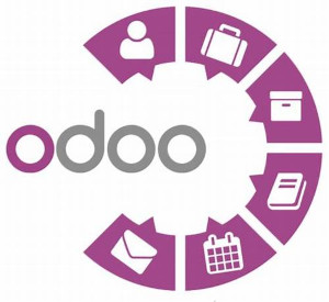 super simple software odoo consultancy services